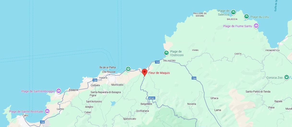 Ouvrir dans Google Maps